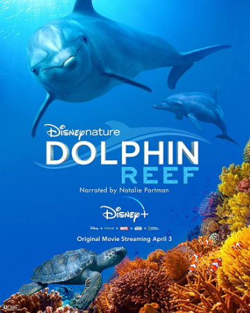 مشاهدة فيلم Dolphin Reef 2020 مترجم
