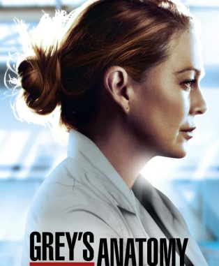 مسلسل Grey’s Anatomy موسم 17 مترجم