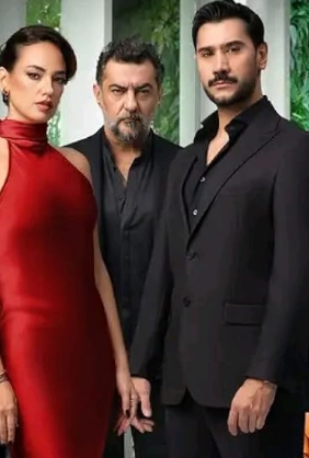 مسلسل مثل الحلم مترجم